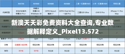 新澳天天彩免费资料大全查询,专业数据解释定义_Pixel13.572