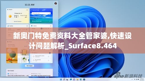 新奥门特免费资料大全管家婆,快速设计问题解析_Surface8.464