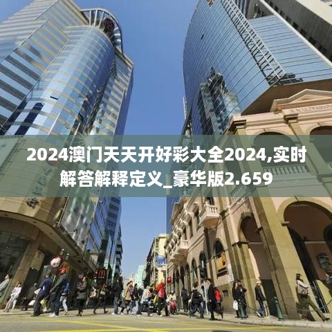 2024澳门天天开好彩大全2024,实时解答解释定义_豪华版2.659