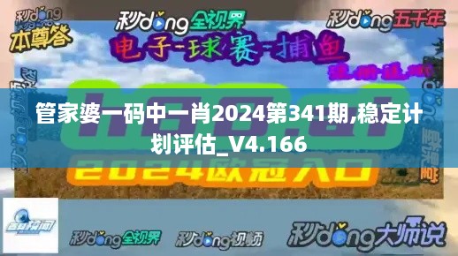 管家婆一码中一肖2024第341期,稳定计划评估_V4.166