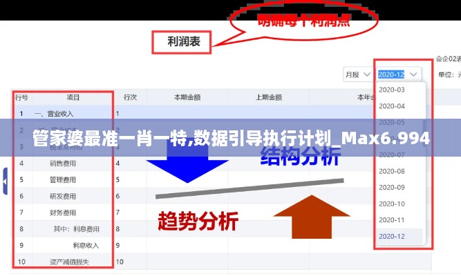 管家婆最准一肖一特,数据引导执行计划_Max6.994