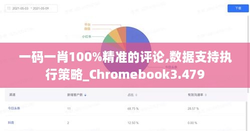 一码一肖100%精准的评论,数据支持执行策略_Chromebook3.479