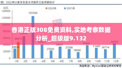 香港正版308免费资料,实地考察数据分析_超级版9.132