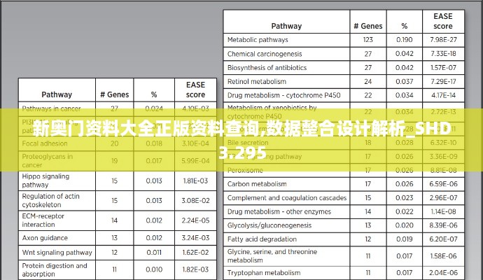 新奥门资料大全正版资料查询,数据整合设计解析_SHD3.295