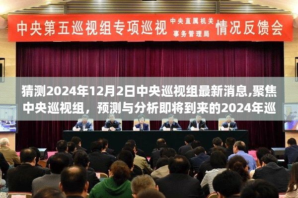 预测分析，聚焦中央巡视组，2024年巡视动态即将揭晓