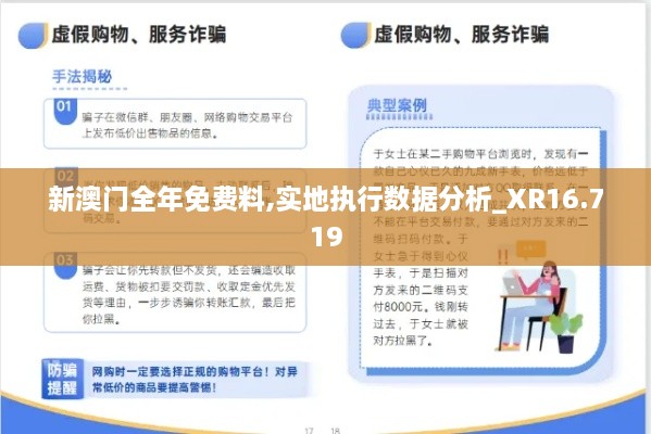 新澳门全年免费料,实地执行数据分析_XR16.719