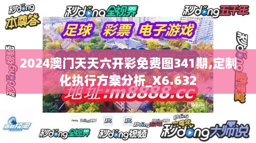 2024澳门天天六开彩免费图341期,定制化执行方案分析_X6.632