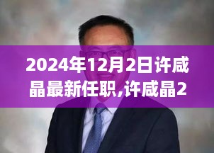 许咸晶最新任职步骤指南，初学者与进阶用户必备参考（2024年12月2日更新）