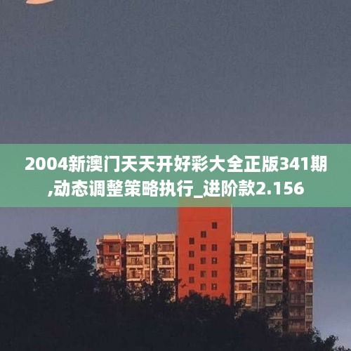 2004新澳门天天开好彩大全正版341期,动态调整策略执行_进阶款2.156