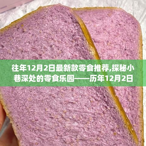 历年12月2日最新款零食揭秘，小巷深处的零食乐园探秘