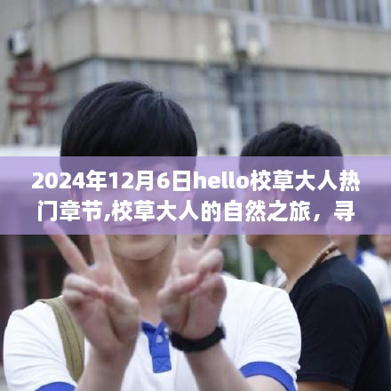 校草大人的自然之旅，寻找内心平静的美丽秘境（热门章节 2024年12月6日）