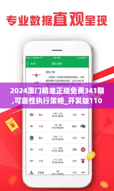 2024澳门精准正版免费341期,可靠性执行策略_开发版110.857