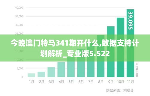 今晚澳门特马341期开什么,数据支持计划解析_专业版5.522