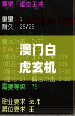 澳门白虎玄机精准玄武,预测分析解释定义_安卓版4.321