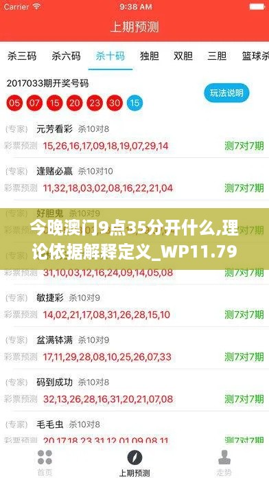 今晚澳门9点35分开什么,理论依据解释定义_WP11.798