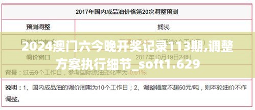 2024澳门六今晚开奖记录113期,调整方案执行细节_soft1.629