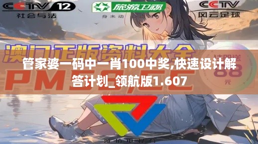 管家婆一码中一肖100中奖,快速设计解答计划_领航版1.607