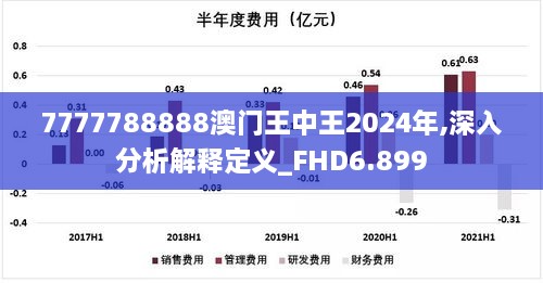 7777788888澳门王中王2024年,深入分析解释定义_FHD6.899