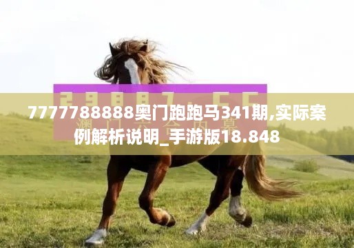 7777788888奥门跑跑马341期,实际案例解析说明_手游版18.848