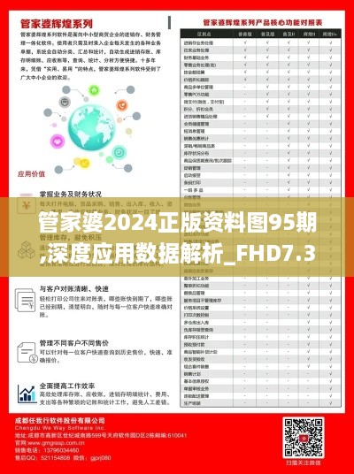 管家婆2024正版资料图95期,深度应用数据解析_FHD7.348