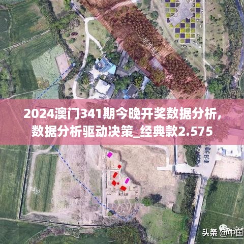 2024澳门341期今晚开奖数据分析,数据分析驱动决策_经典款2.575