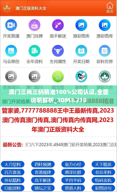 澳门三肖三码精准100%公司认证,全面说明解析_3DM3.210