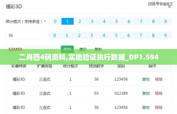 二肖四4码资料,实地验证执行数据_DP1.594