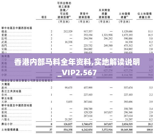 香港内部马料全年资料,实地解读说明_VIP2.567