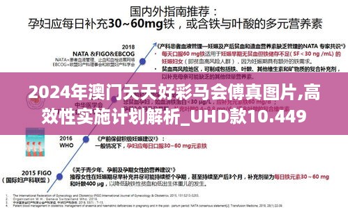 2024年澳门天天好彩马会傅真图片,高效性实施计划解析_UHD款10.449