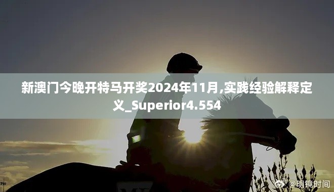 新澳门今晚开特马开奖2024年11月,实践经验解释定义_Superior4.554