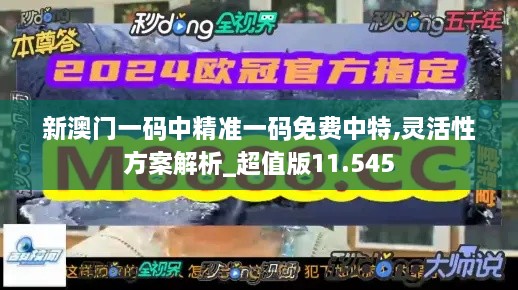 新澳门一码中精准一码免费中特,灵活性方案解析_超值版11.545