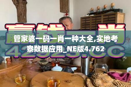 管家婆一码一肖一种大全,实地考察数据应用_NE版4.762