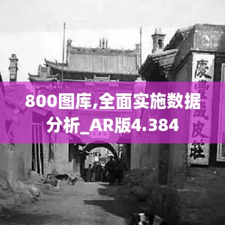 800图库,全面实施数据分析_AR版4.384