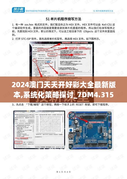 2024澳门天天开好彩大全最新版本,系统化策略探讨_7DM4.315