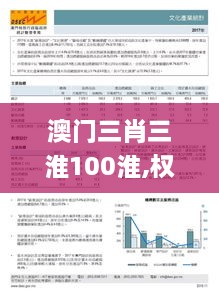 澳门三肖三淮100淮,权威解答解释定义_超值版4.393