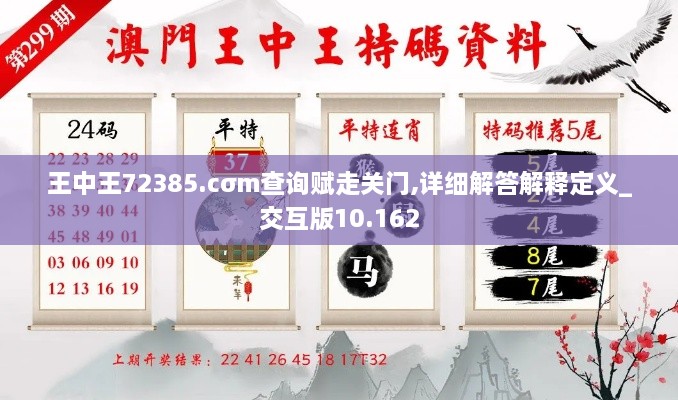 王中王72385.cσm查询赋走关门,详细解答解释定义_交互版10.162