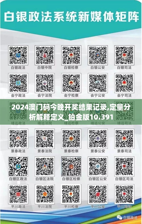 2024澳门码今晚开奖结果记录,定量分析解释定义_铂金版10.391