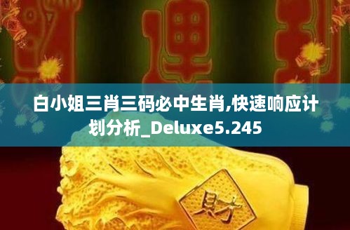 白小姐三肖三码必中生肖,快速响应计划分析_Deluxe5.245