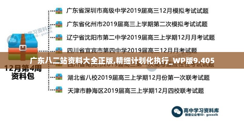 广东八二站资料大全正版,精细计划化执行_WP版9.405