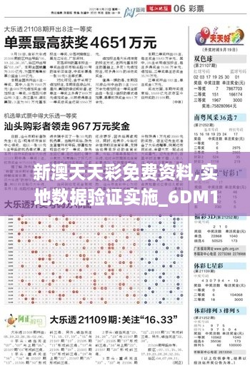 新澳天天彩免费资料,实地数据验证实施_6DM10.367