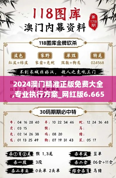 2024澳门精准正版免费大全,专业执行方案_网红版6.665