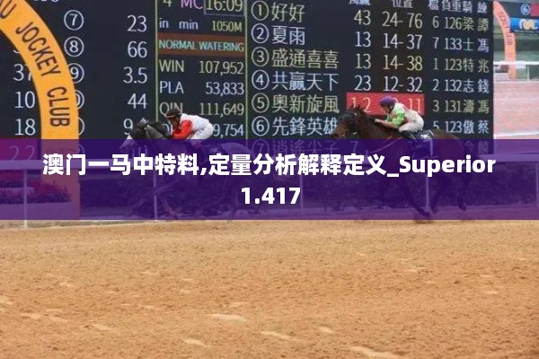 澳门一马中特料,定量分析解释定义_Superior1.417