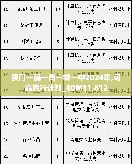 澳门一码一肖一特一中2024年,可靠执行计划_4DM11.812