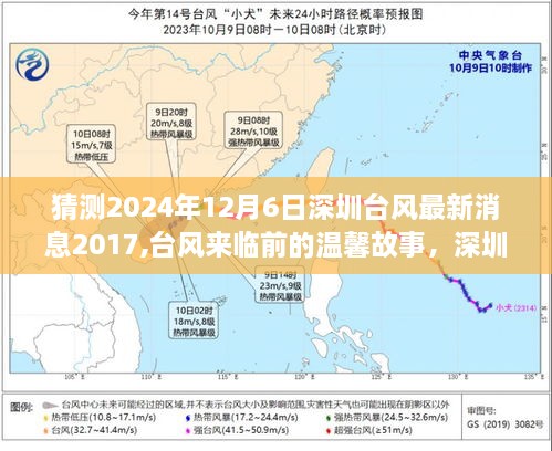 深圳夏日奇遇与家的温暖，台风来临前的温馨故事及最新消息猜测（2024年台风动态）