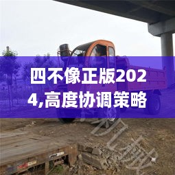 四不像正版2024,高度协调策略执行_V24.660