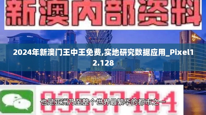 2024年新澳门王中王免费,实地研究数据应用_Pixel12.128