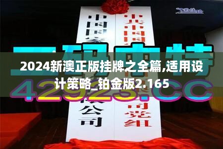 2024新澳正版挂牌之全篇,适用设计策略_铂金版2.165