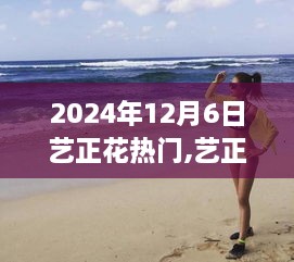 艺正花热门盛典，聚焦三大看点，揭秘2024年12月6日盛况