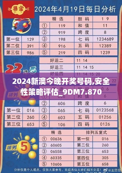 2024新澳今晚开奖号码,安全性策略评估_9DM7.870