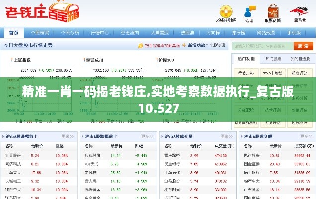 精准一肖一码揭老钱庄,实地考察数据执行_复古版10.527